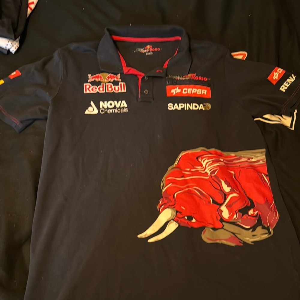 Toro Rosso F1 2015 Polo